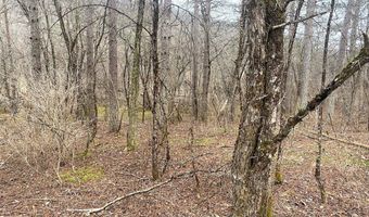 Cr-38, Alma, NY 14708