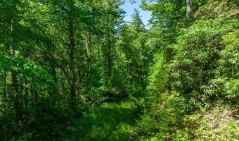 Tbd Chastain Valley Road, Highlands, NC 28741