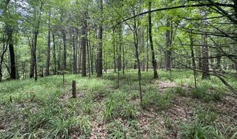 Pine Lodge Road, Batesville, MS 38606