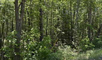 Washington Street lot 33 34 35, Barrington, NH 03825