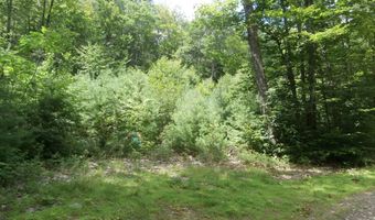 Lot 005 Hebo Hybo Road, Acton, ME 04001