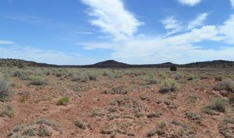 N8577 18, Concho, AZ 85924