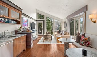 153 Herron Hollow Dr, Aspen, CO 81611