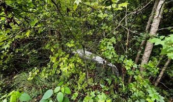 10664 Burton's Ferry Rd, Allendale, SC 29810