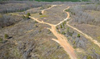 Vista Lane, Bethel Springs, TN 38315