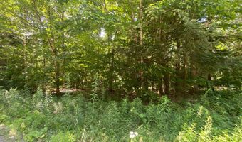 Tyler Way 34, Bath, NH 03740