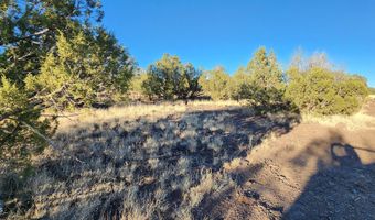 88- D Rose Ln, Ash Fork, AZ 86320