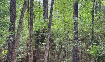 2780 Jackson Liberty Rd, Bogue Chitto, MS 39629