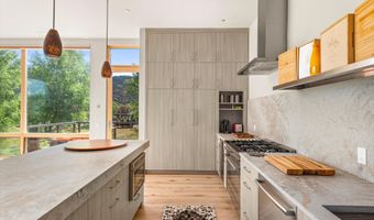 103 Willits Way 201, Basalt, CO 81621