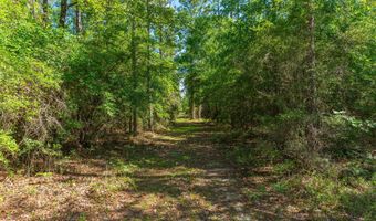 43 5 +/- A Old River Rd, Baker, FL 32531