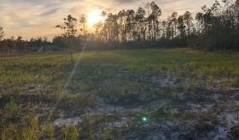 22563 NW Lake Mckenzie Blvd, Altha, FL 32421