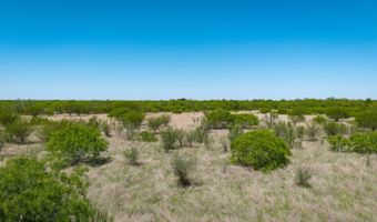 FM 735, Alice, TX 78332
