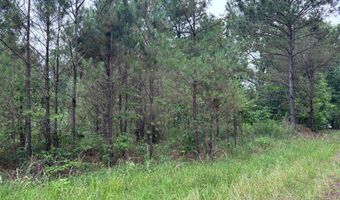 Sardis Lake Drive, Batesville, MS 38655