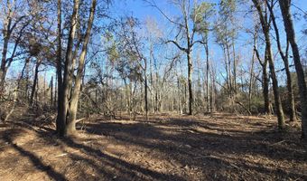 5 A Berry Ln, Beech Island, SC 29842