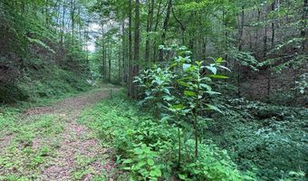88 Acres Bolden Br, Andrews, NC 28901