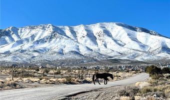 159 Eagle Nest Cir, Cold Creek, NV 89124
