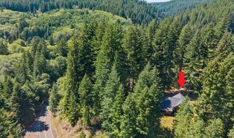 36760 UPPER NESTUCCA RIVER Rd, Beaver, OR 97108