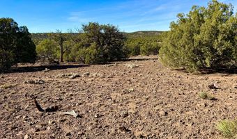 Kirkland DR 20 Acres, Concho, AZ 85924
