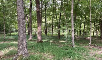 1647 Boone Hollow Rd, Battletown, KY 40104