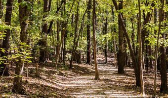 157 Hank Way, Angier, NC 27501