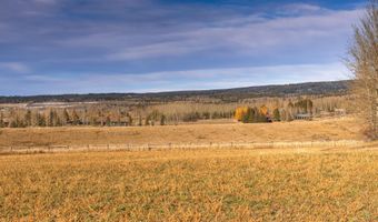 125 YELLOW ROSE Dr, Alta, WY 83414