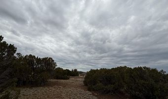 149 County Rd 8057, Concho, AZ 85924