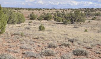 10 N9228, Concho, AZ 85924