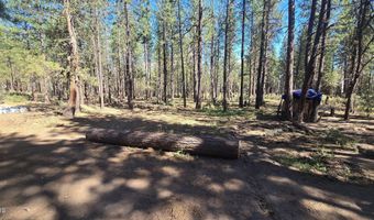 Smith Drive lot 5, Beatty, OR 97621