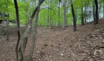 Lot 1833 Newport Drive, Ellijay, GA 30540