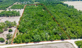 NW 40th Ave, Bell, FL 32619