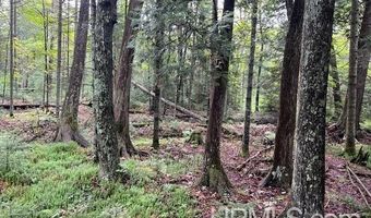 TBD Cable Lake, Amasa, MI 49903