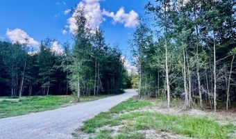 4899 36th St, Bell, FL 32619