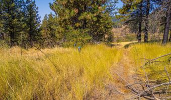 Summitview Dr, Ahsahka, ID 83520