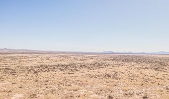 29 Rose Ln, Animas, NM 88020
