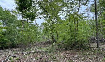 3450 E New Roe Rd, Adolphus, KY 42120