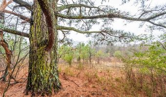 1200 Dow Jones Rd, Alma, AR 72921