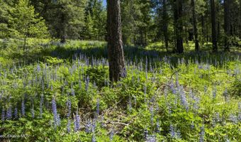 Kreiger Creek Rd Lot 2, Careywood, ID 83809
