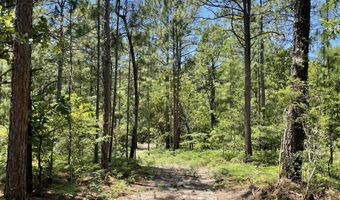 1416 Herndon Dairy Rd, Aiken, SC 29803