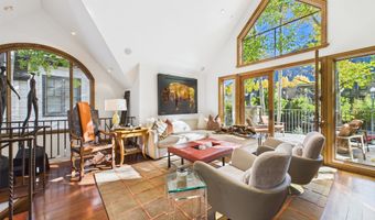 914 E Cooper Ave, Aspen, CO 81611