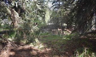 Vallecito Pl, Bayfield, CO 81122