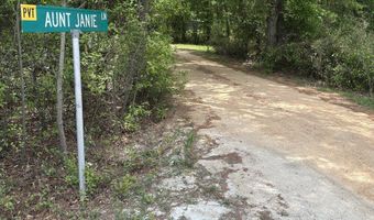 Aunt Janie Lane Autryville NC 28318, Autryville, NC 28318