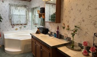 2054 Birchwood, Alger, MI 48610