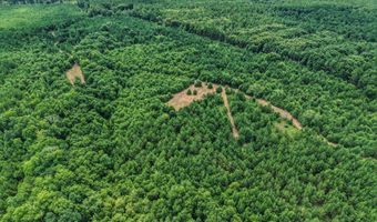 Harry Priddy Road, Americus, GA 31719
