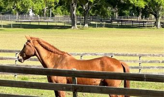 13009 NW 123RD Pl, Alachua, FL 32615