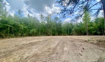 SE Lee Drive, Bogue Chitto, MS 39629