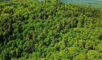 Camp Brook Road lot Map 30 Lot 67, Alstead, NH 03602