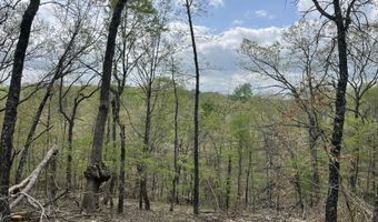 St Hwy N Tract F, Ava, MO 65608