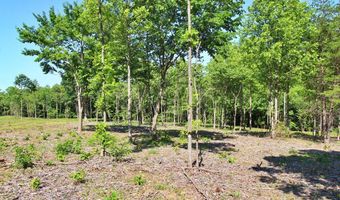 Tower Hill Rd, Appomattox, VA 24522