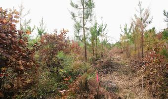 RIDGE RD lot 1, Arvonia, VA 23004