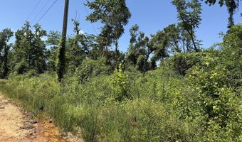 Lot # 3 - 6.2+/- Perry Horton, Adrian, GA 31002